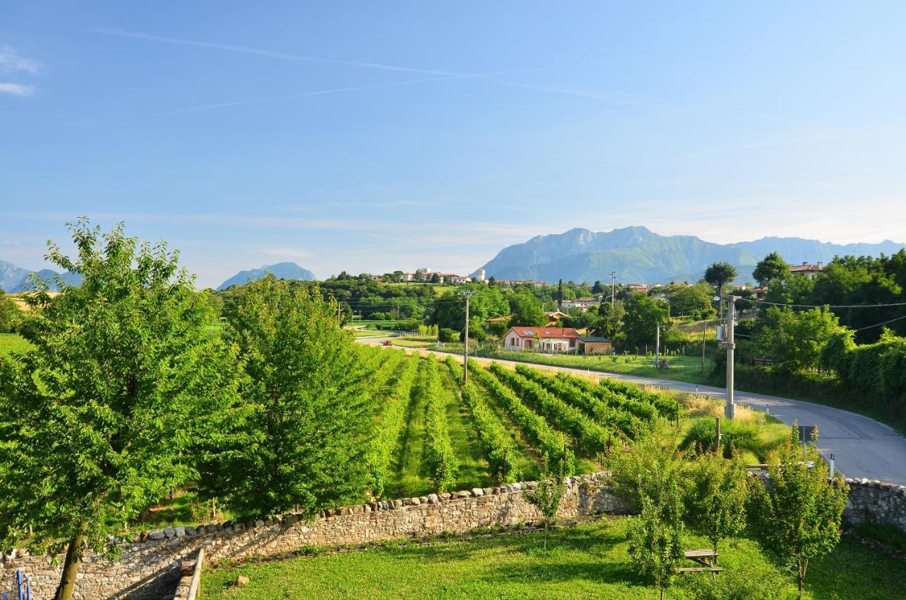 Agriturismo Borgo Floreani Vendoglio Exterior photo